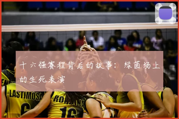 十六强赛程背后的故事：绿茵场上的生死表演