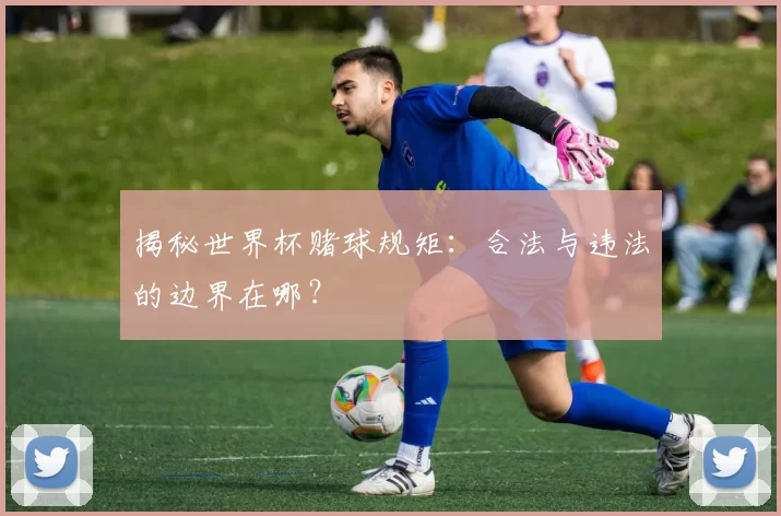 揭秘世界杯赌球规矩:合法与违法的边界在哪?