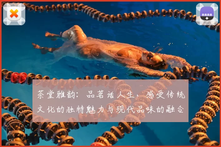 茶堂雅韵:品茗话人生,感受传统文化的独特魅力与现代品味的融合