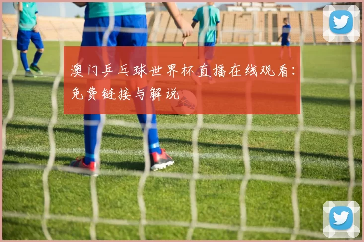 澳门乒乓球世界杯直播在线观看：免费链接与解说