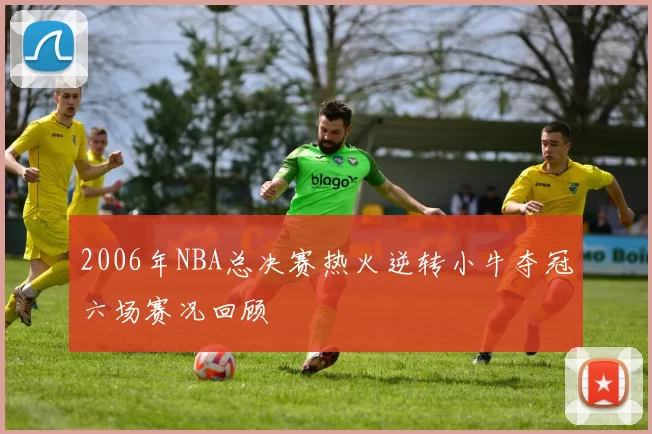 2006年NBA总决赛热火逆转小牛夺冠六场赛况回顾