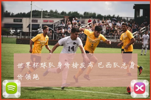 世界杯球队身价榜发布 巴西队总身价领跑