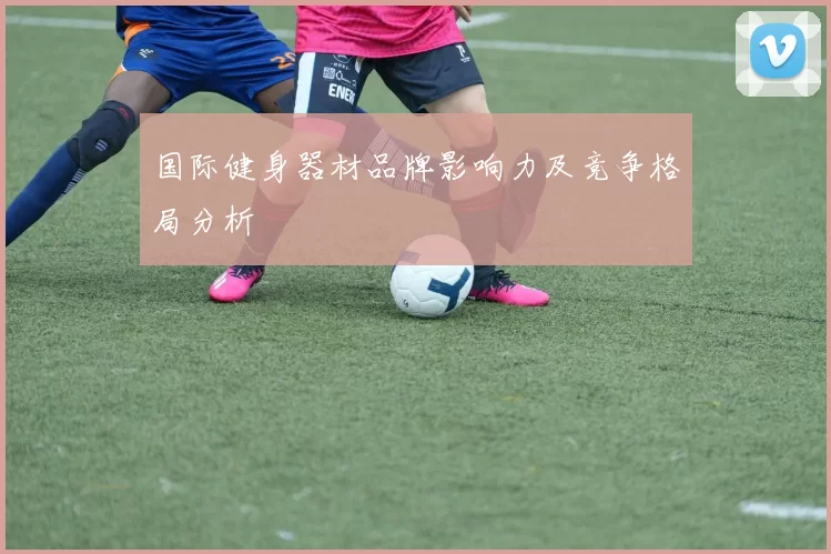 国际健身器材品牌影响力及竞争格局分析