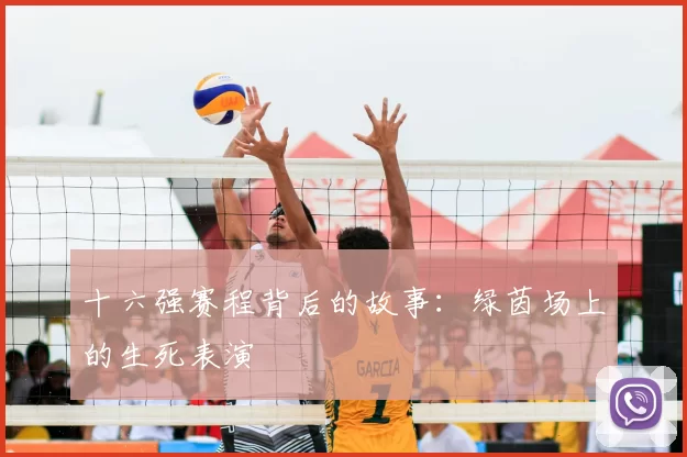 十六强赛程背后的故事：绿茵场上的生死表演