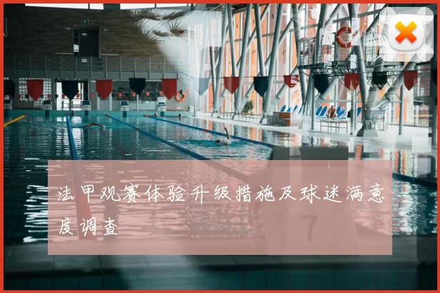 法甲观赛体验升级措施及球迷满意度调查