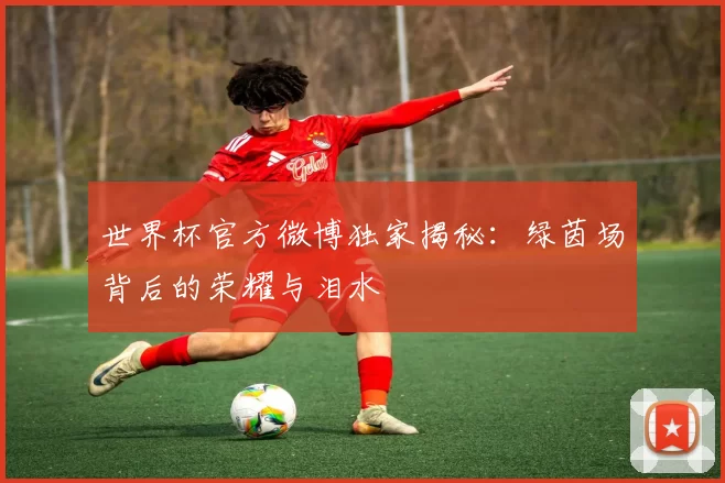 世界杯官方微博独家揭秘：绿茵场背后的荣耀与泪水