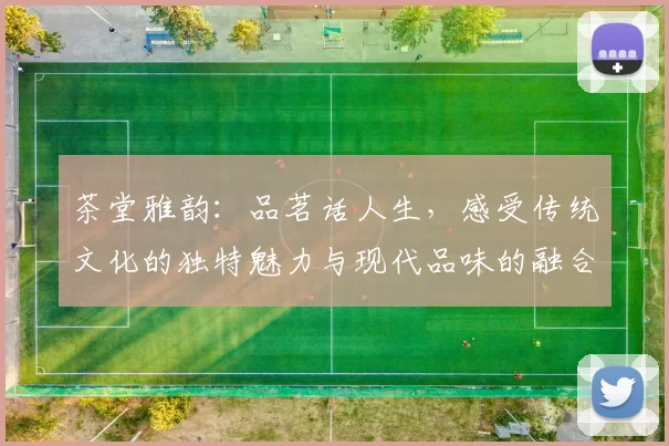 茶堂雅韵：品茗话人生，感受传统文化的独特魅力与现代品味的融合