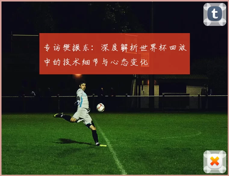 专访樊振东:深度解析世界杯回放中的技术细节与心态变化