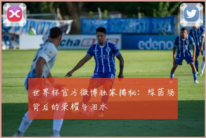 世界杯官方微博独家揭秘：绿茵场背后的荣耀与泪水